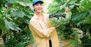 1780444208 135 thumbnail width1648height1236 auto crop watermark