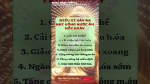 Nhạc Phật Tịnh Tâm Việt - Bí Mật Giúp Tâm Hồn Bình An Trọn Đời 2 1783383651 Maxresdefault
