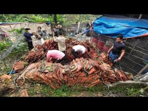 1783862184 Hqdefault