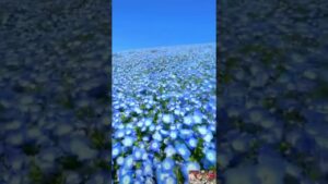 1785133540 Maxresdefault