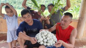 Cắt Cơn Trứng Vịt Lộn | Nhịp Sống Tây Bắc 1 1786352100 Maxresdefault
