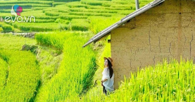1786498326 976 Thumbnail Width1135Height851 Auto Crop Watermark