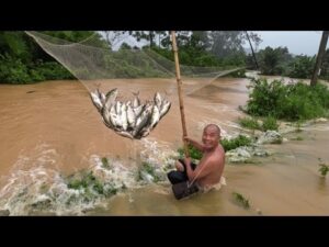 Trận Lũ Bão Lịch Sử Cả Làng Ra Đồng Cứu Lúa, Bắt Chuột, Rắn, Chim Trời Bật Ngàn | Nhịp Sống Tây Bắc 1 1786908194 Hqdefault