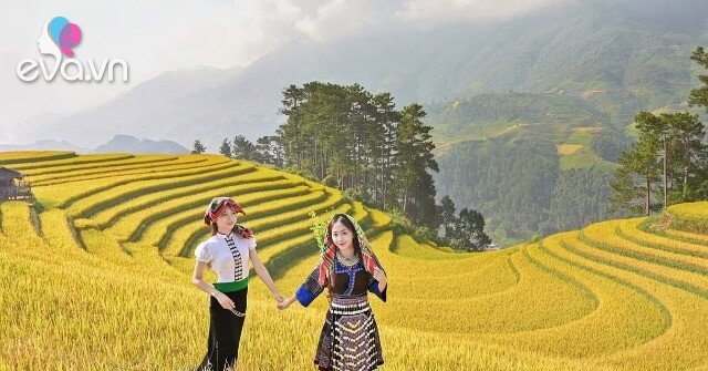 1790675174 559 Thumbnail Width1216Height912 Auto Crop Watermark