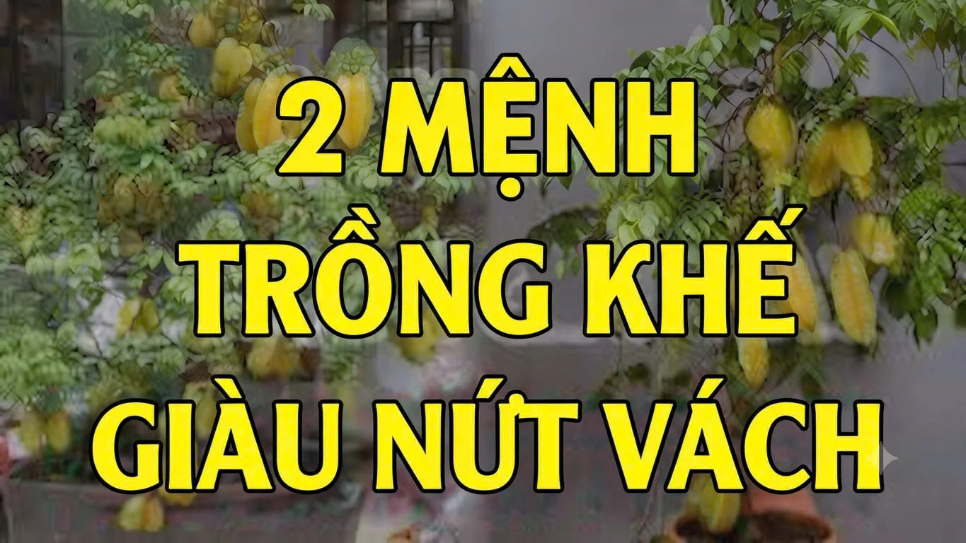 2 Menh Trong Khe Cuc Ky Hut Tai Loc Tien Ve Nhu Nuoc 192608