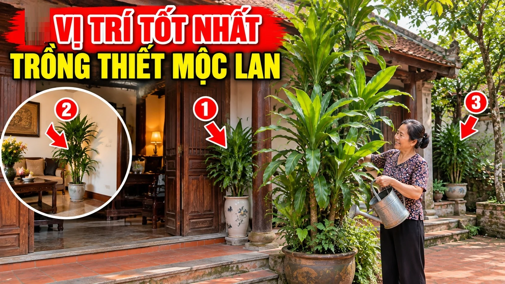 2 Vi Tri Dat Cay Thiet Moc Lan Xoa Tan Ngheo Kho 205910