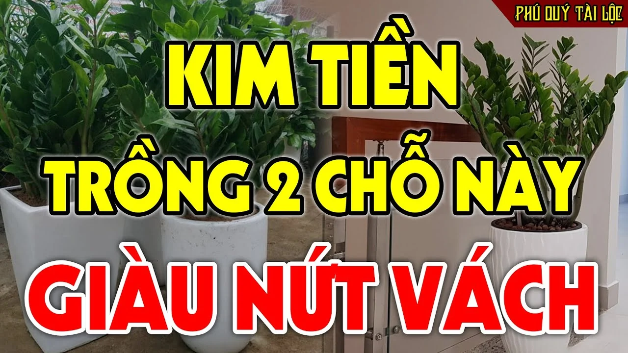 2 Vi Tri Trong Kim Tien Tien Vao Nhu Nuoc 094901