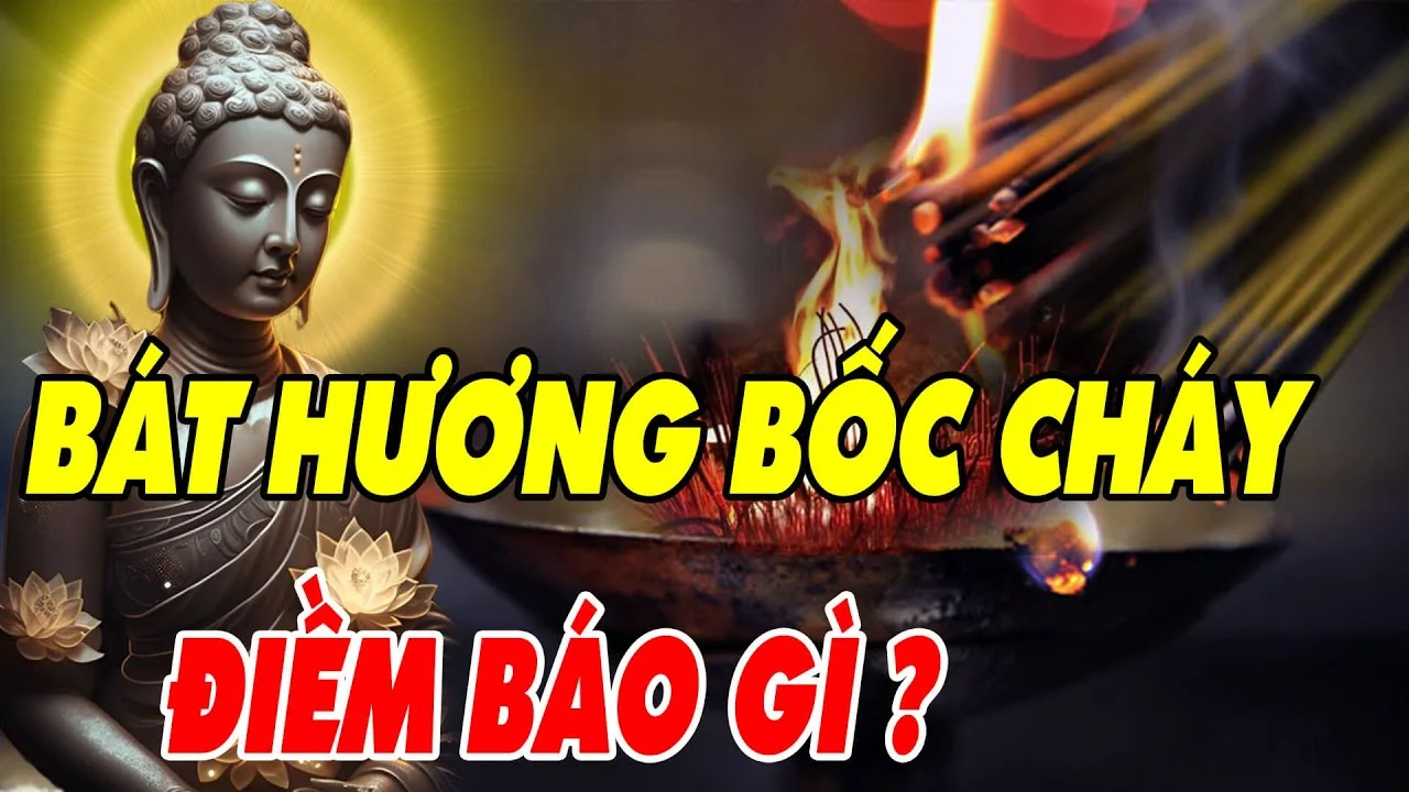 3 Dau Hieu Trong Nha Canh Bao Gia Chu Sap Trung Lon Giau To 1 Dau Hieu Cho Thay Phuc Hoa Kho Luong