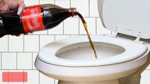 3 loi ich bat ngo khi do coca vao bon cau 002405