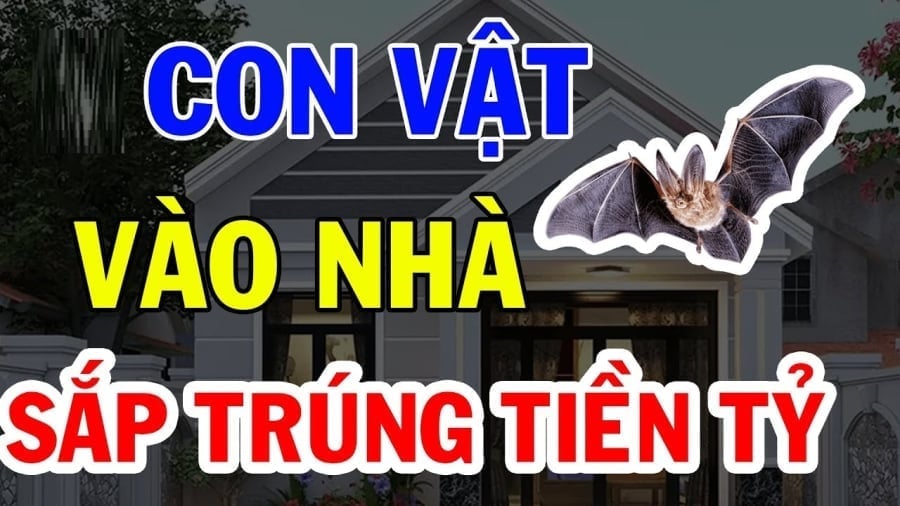 4 Con Vat Vao Nha Mang Theo Phuc Khi Dung Dai Duoi Di 101958