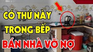 4 vi tri kieng ky dat bep keo hao tai ca nguoi va cua deu lao dao 213151