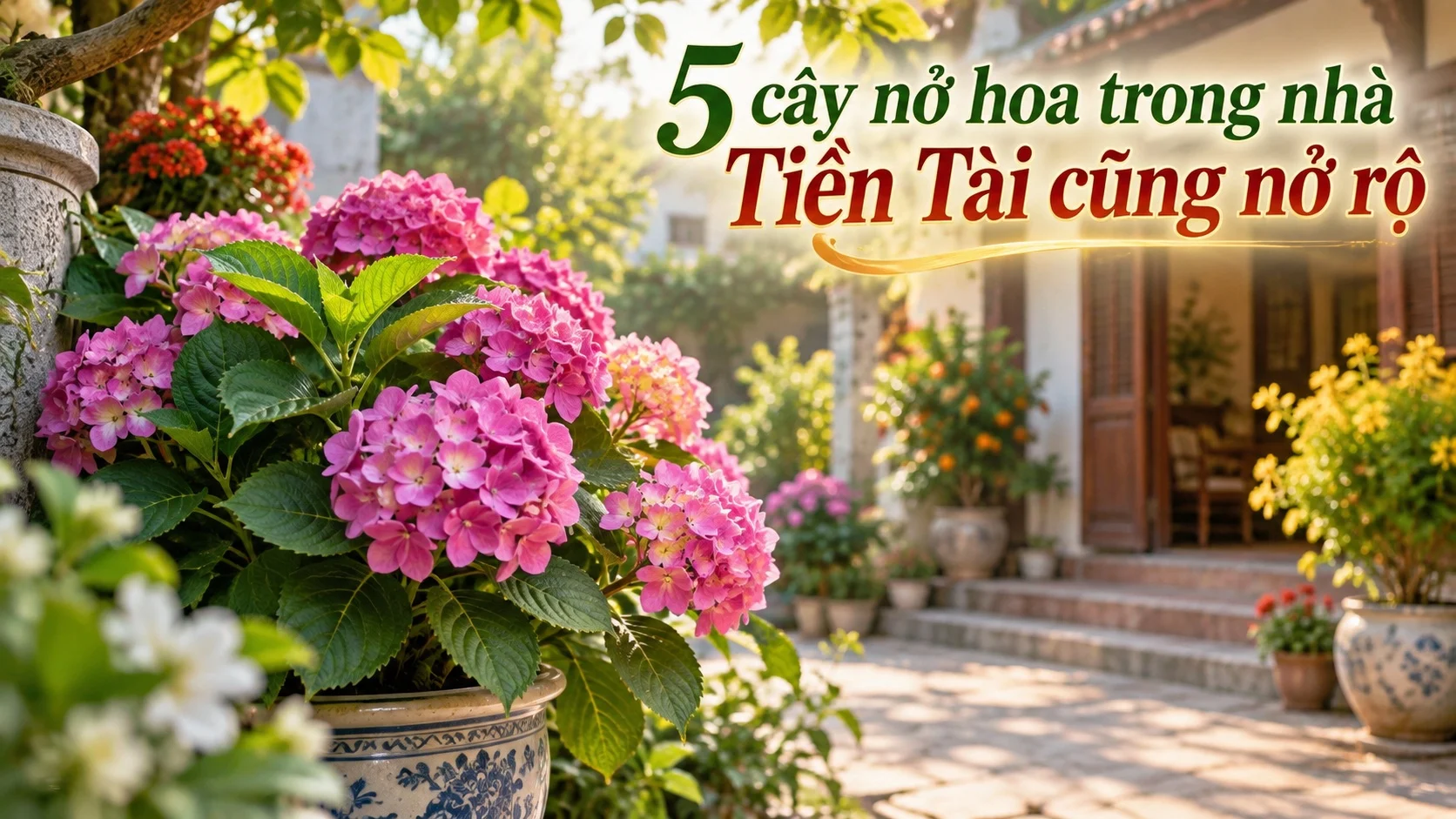 5 Cay No Hoa Trong Nha Tien Tai Cung No Ro 115648