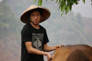 GIANG A DAY VA GIAC MO NONG NGHIEP XANH AMO
