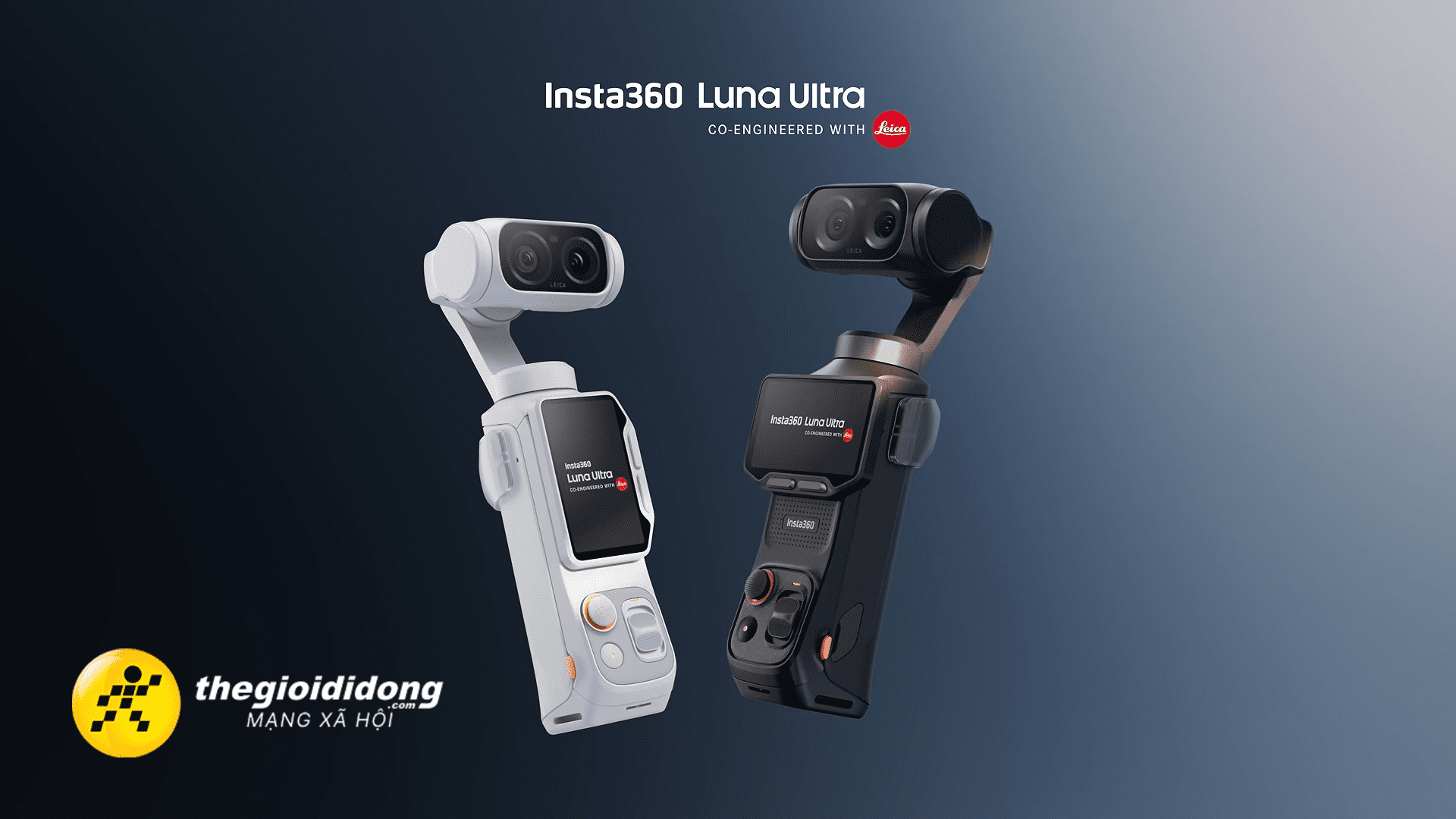 INSDK1639168806826980562