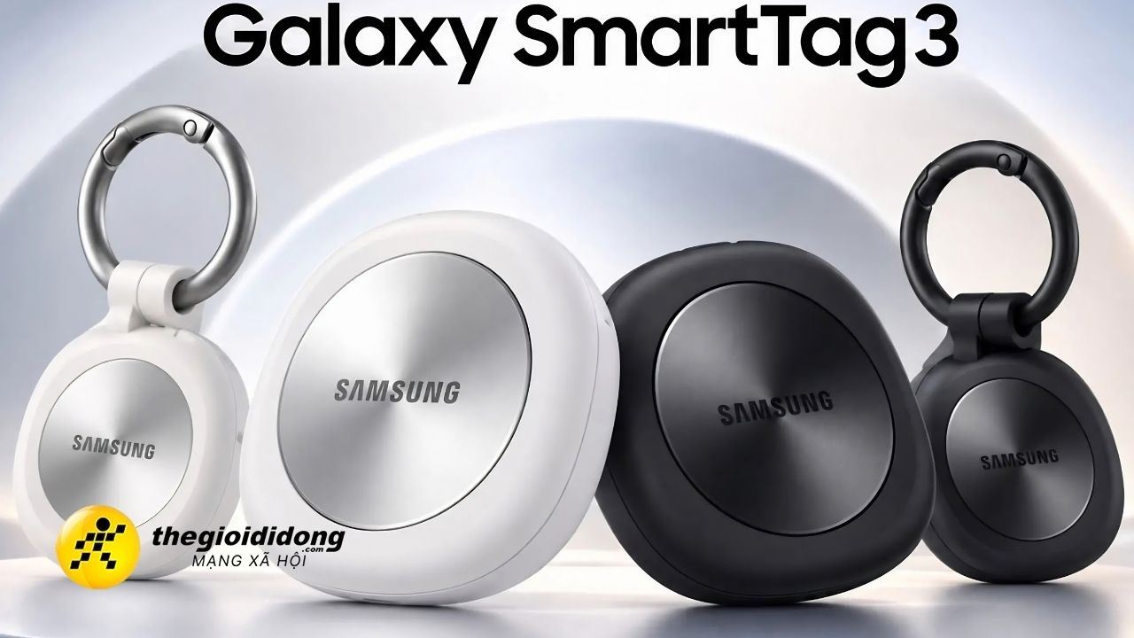 T639264492958024385