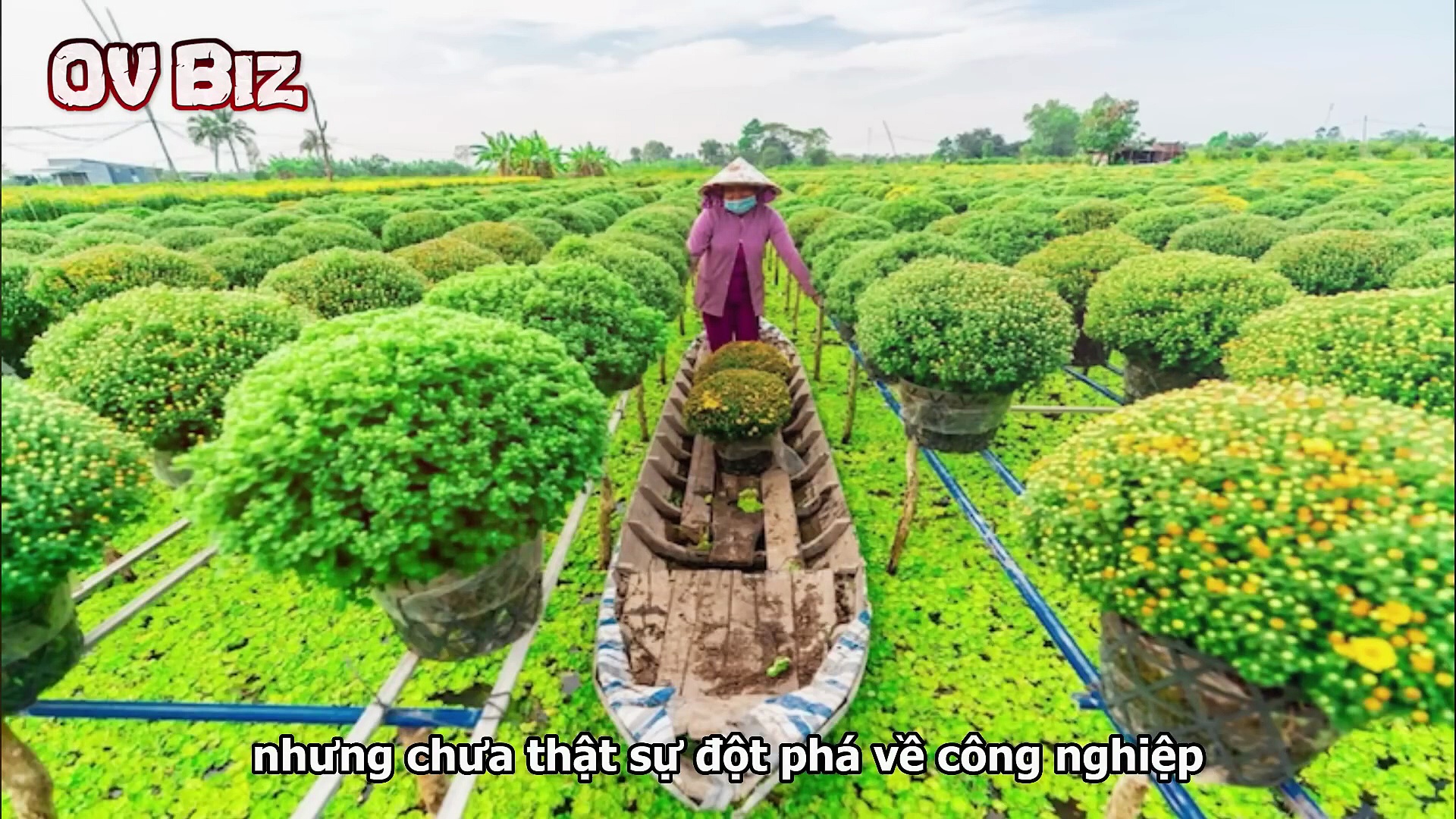 Sau Sáp Nhập, Nguyễn Minh Triết Có Thật Sự Bước Vào Hàng Ngũ Quyền Lực Trẻ?