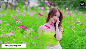 Ca Nhạc Trữ Tình Bolero Hay Nhất - Lk Nhạc Vàng Xưa Bất Hủ - Lk Men Cay Tình Đời Ngọt Ngào