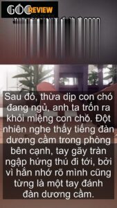 Siêu Phẩm Oscar Kỳ Lạ Nhất Phần 2 Tình Yêu Định Mệnh Và Sự Thật Về Tai Nạn Kinh Hoàng