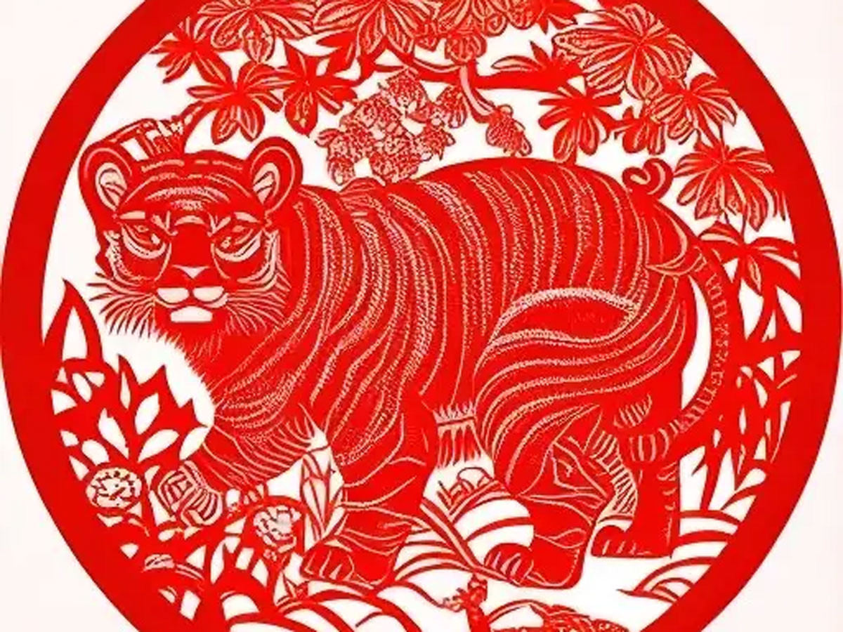 Anhdd 482