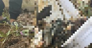 avatar1781189697728 1781189698058612549030