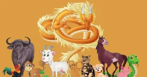 avatar1781306891201 1781306892491626138059 0 0 314 600 crop 1781306944451536376069