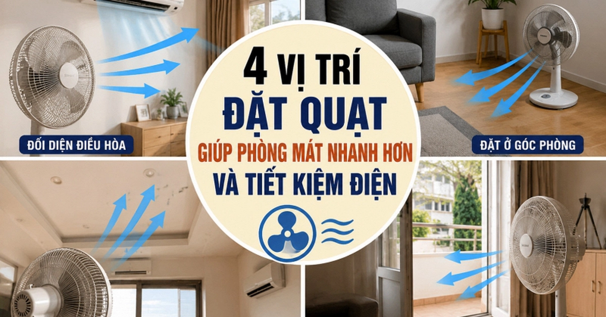 avatar1782699656028 17826996565281913972887