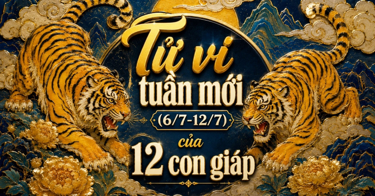 avatar1783065240832 1783065241108106917846