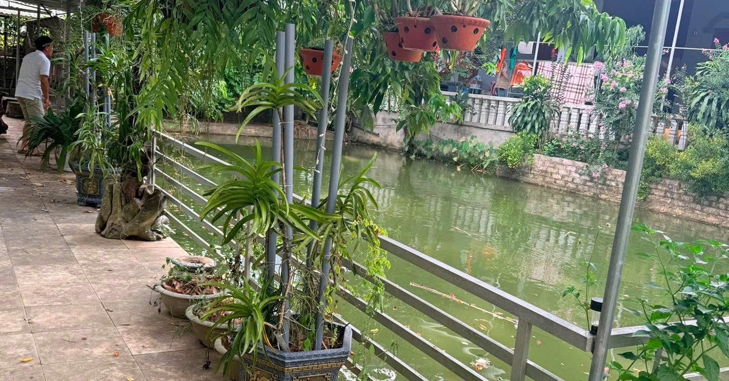 ba nam mat 3 con vi duoi nuoc phai dung canh cua ghep thanh quan tai nguoi cha noi loi gan ruot 1479
