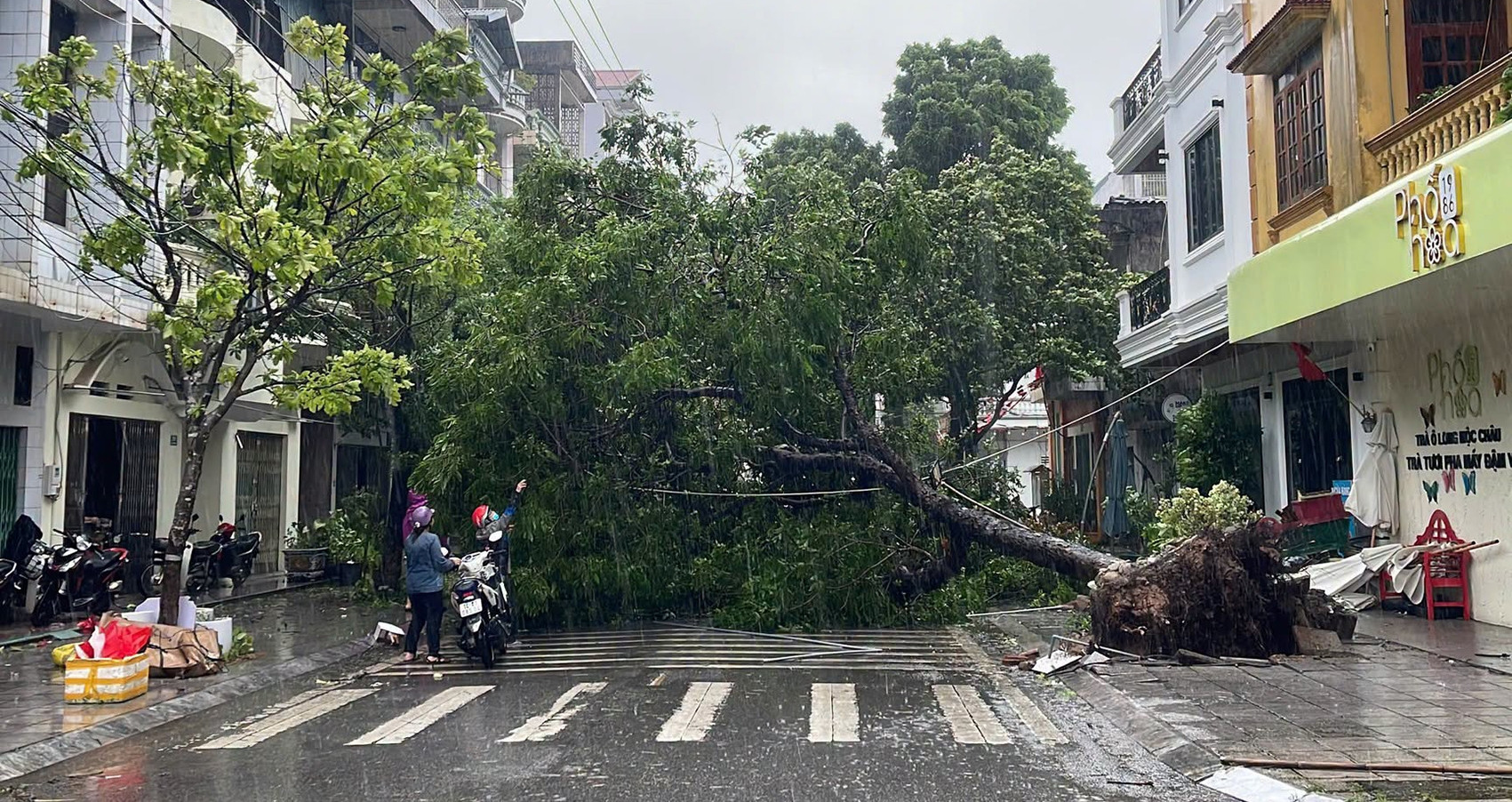 Bao So 1 Maysak Sap Do Bo Gio Manh Quat Do Cay Toc Mai O Mong Cai 2955