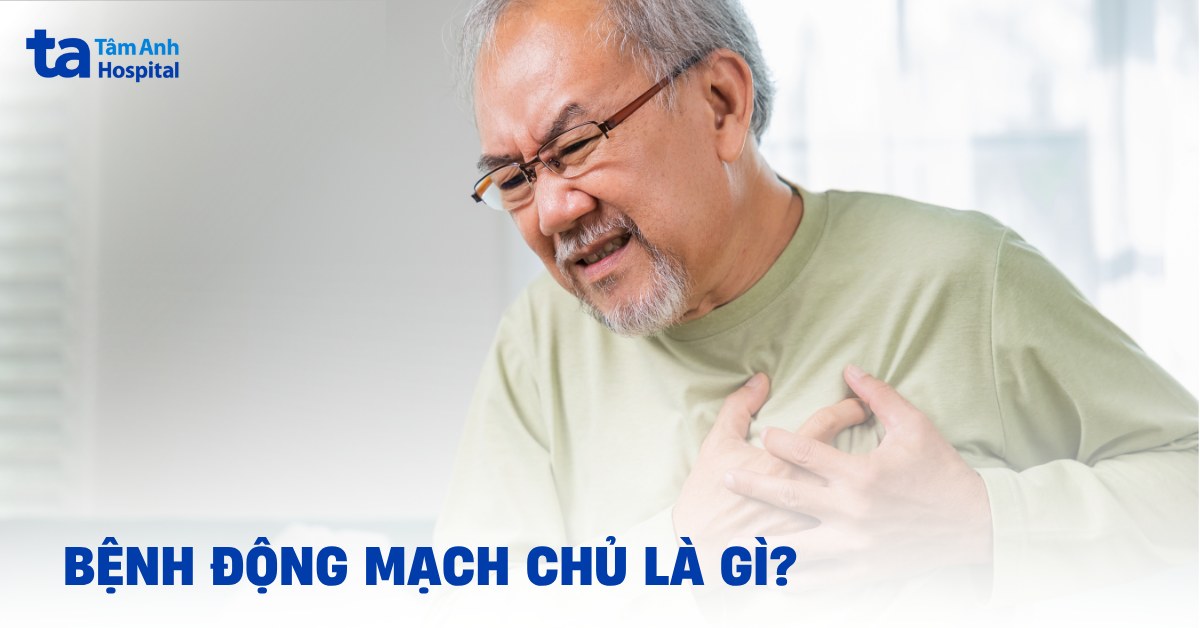Benh Dong Mach Chu
