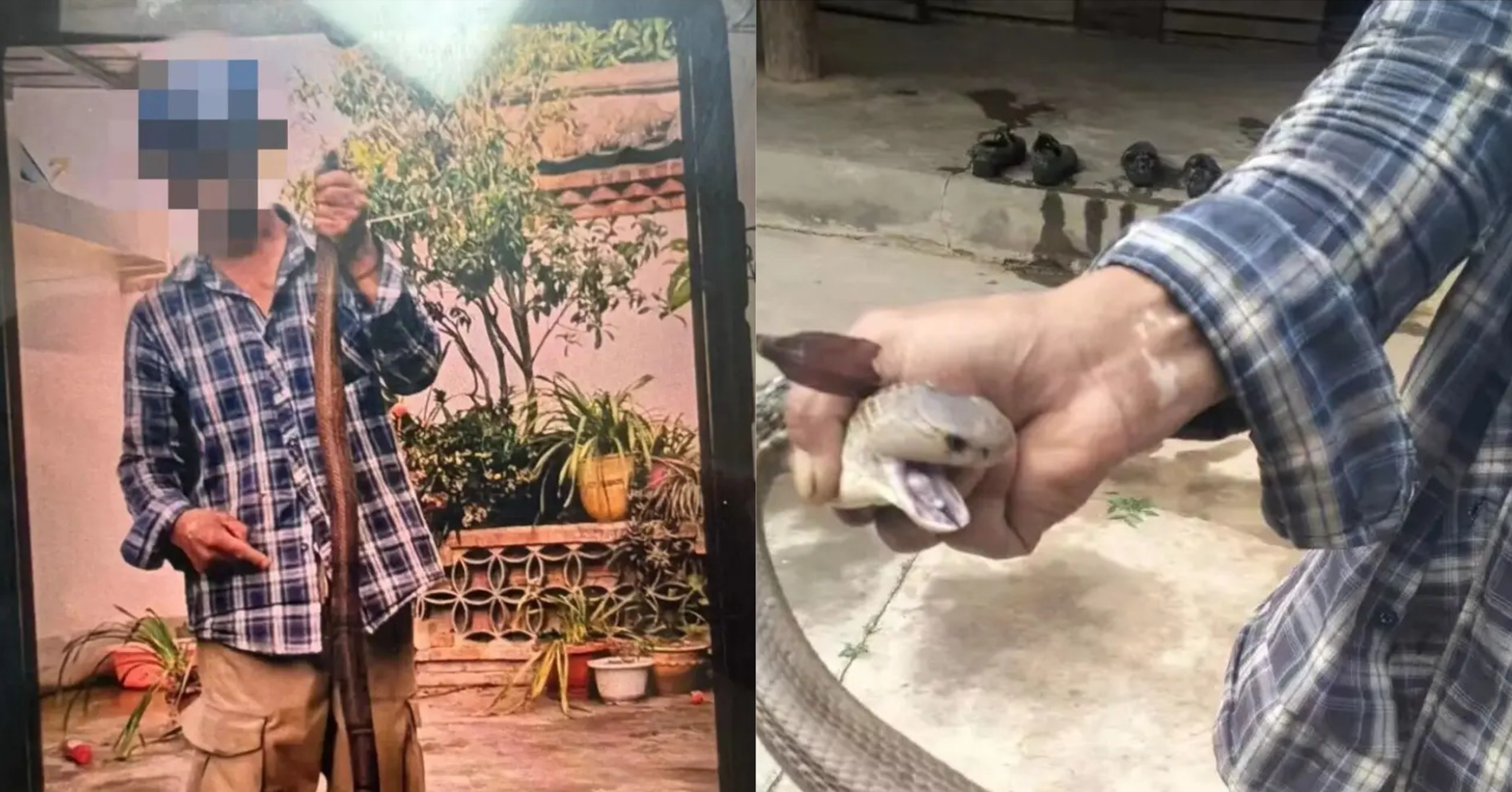 bi ran doc can van chup anh nguoi dan ong 58 tuoi chat vat thoat cua tu 1883
