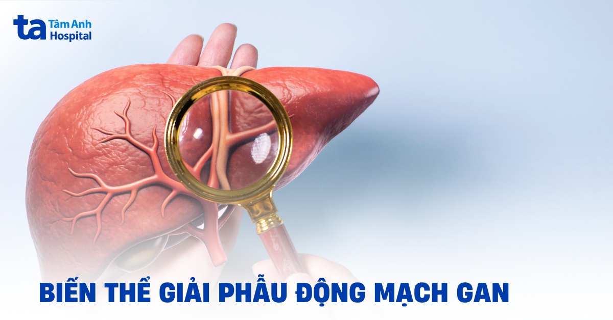 Bien The Giai Phau Dong Mach Gan
