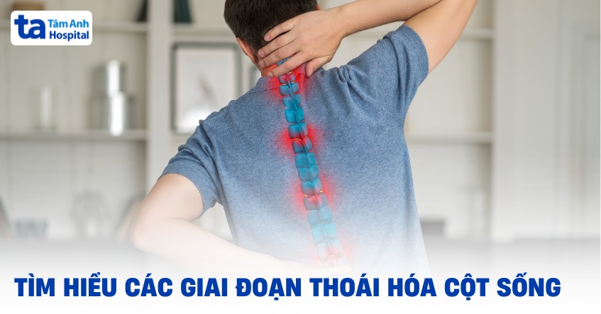 Cac Giai Doan Thoai Hoa Cot Song