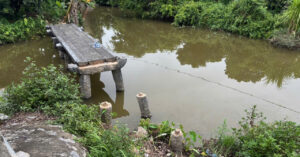 cac phien da cau co hon 100 nam tuoi o hai phong bi lay cap phi tang ra sao 3678