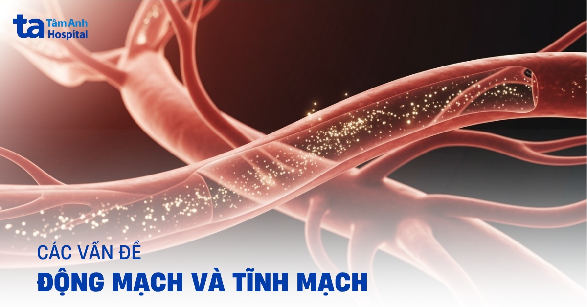 Cac Van De Dong Mach Va Tinh Mach