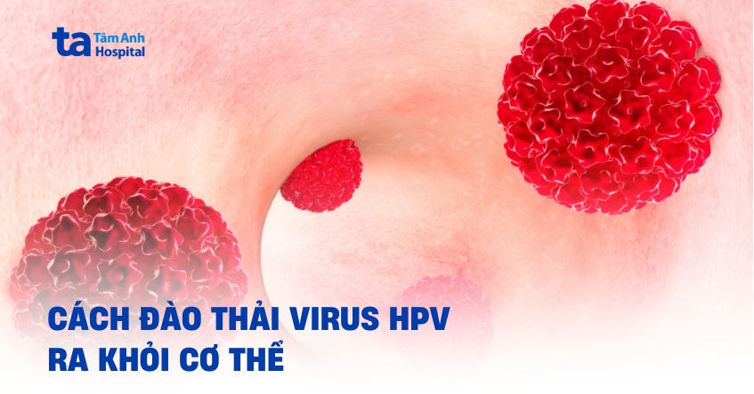Cach Dao Thai Virus Hpv