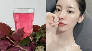 Cách dùng nước lá tía tô rửa mặt giúp mờ thâm nám, giảm mụn ẩn, làm da sáng mịn 1 cach dung nuoc la tia to rua mat giup mo tham nam giam mun an lam da sang min 162602