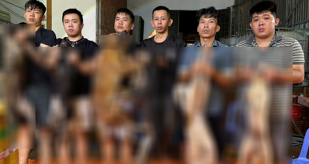 Cap Vo Chong Ho Lap Duong Day Trom Cap Tieu Thu 10 Tan Thit Cho Khap Cac Tinh 3159