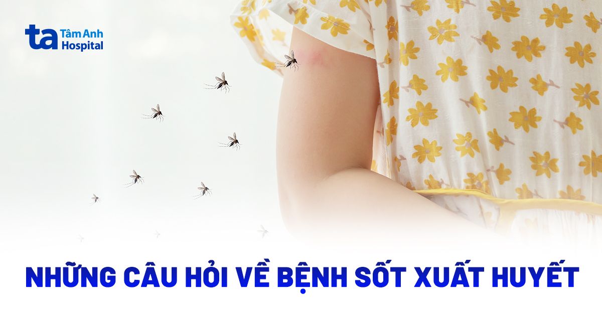 Cau Hoi Ve Sot Xuat Huyet