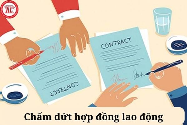 Cham Dut Hd