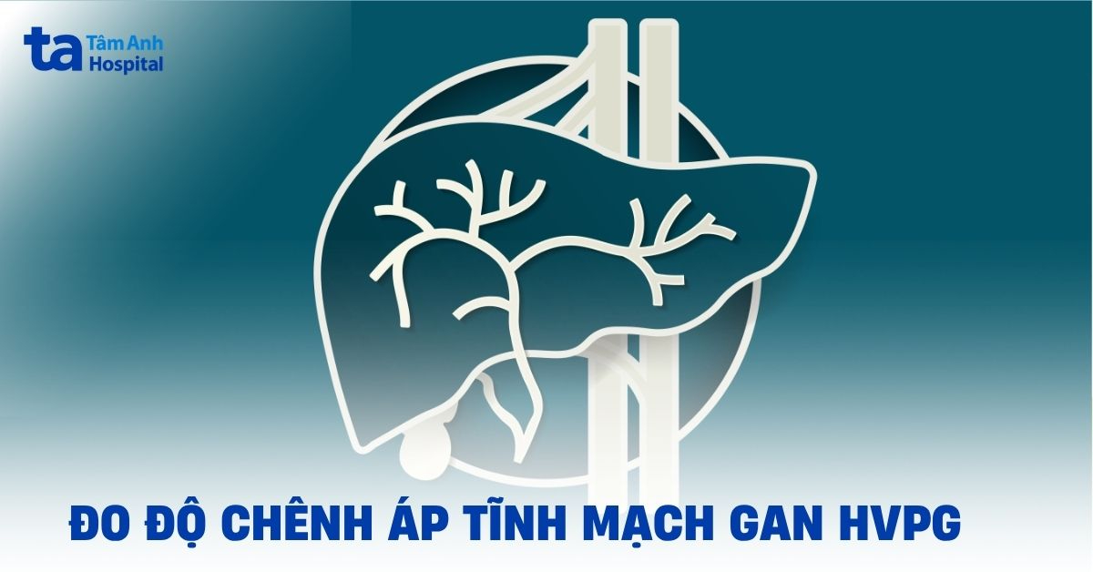 Chenh Ap Tinh Mach Gan Hvpg