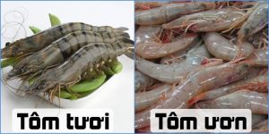 chon tom cu nhin vao diem nay biet ngay con nao tuoi con nao khong nen mua phi tien 205718