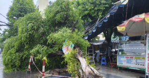 Clip Cay Cao 4M Bat Ngo Bat Goc Do Xuong Noi Nhieu Nguoi Cho Mua Com 1574