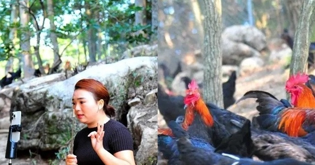 Co Gai Ve Que Lam Giau Voi Ga Tap Gym Tao Viec Lam Cho Hang Tram Nguoi 2860