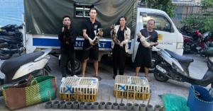 cong an giai cuu 500 con meo trong duong day trom thu cung quy mo lon 2405
