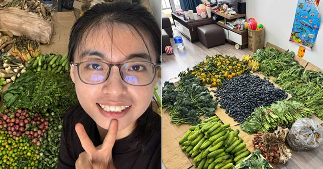 Cu Nhan Luat Bo Viec Ve Ban Rau Cu Qua O Ha Noi Co Ngay Ban 250Kg 2366