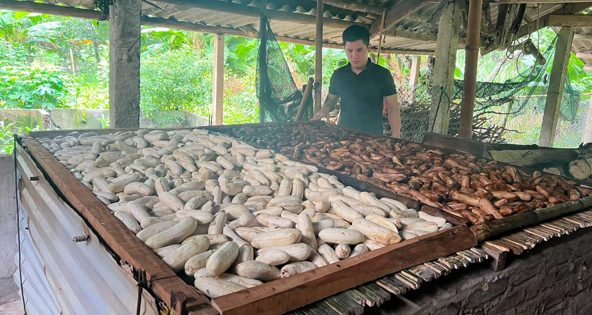 Dac San Tuyen Quang Lam Tu Chuoi Gac Bep Vi Ngot Thom De Vai Ngay Van Mem Deo 2282
