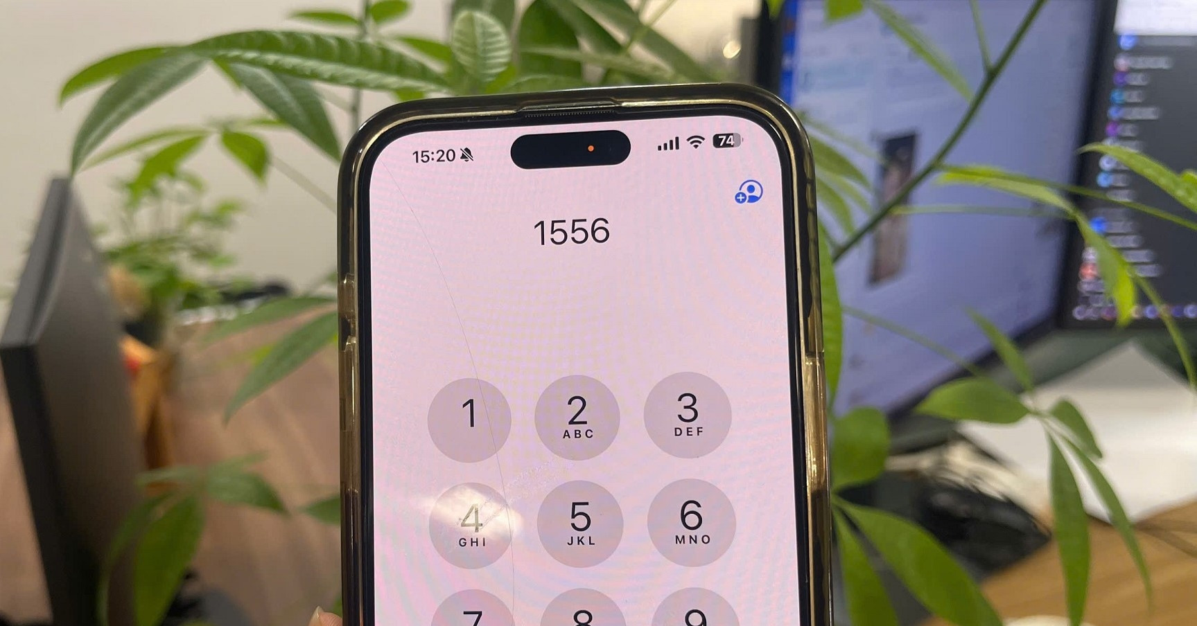 Dau Gia Truc Tuyen Dau So 1556 Gia Khoi Diem Mot Ty Dong 1511