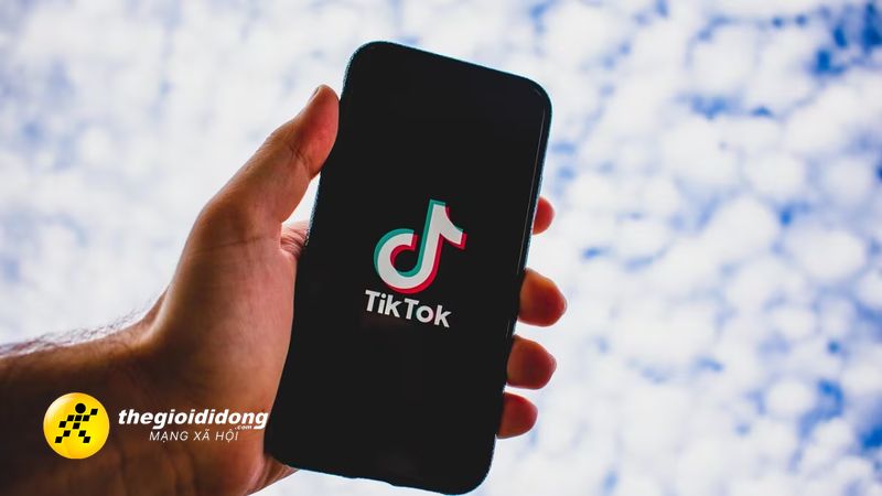 Tiktok Ra Mắt Must Eat: Biến Video Ẩm Thực Thành Cẩm Nang Gợi Ý Nhà Hàng, Cơ Hội Lẫn Thách Thức Cho Food Reviewer Trịnh Minh Hải 5 Giờ Trước Dc7Ded2958106B8E9Ff3993Adaff2B4F
