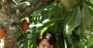 Dien Vien Huynh Anh Tro Lai Phim Gio Vang Vtv1 Cung Nsnd Viet Anh 2590